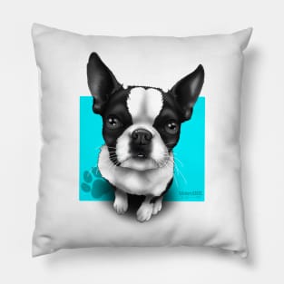 Baby Boy Boston Pillow