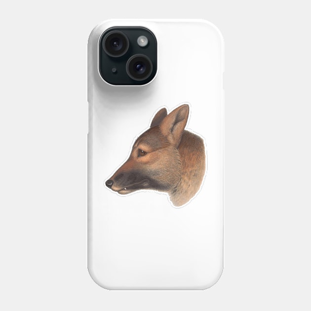 Canis dingo Australian wildlife canine Phone Case by Captain-Jackson