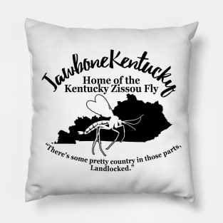 Jawbone Kentucky, Home of The Kentucky Zissou Fly Pillow