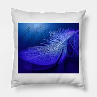 blue feather Pillow