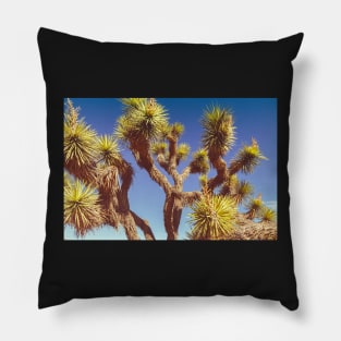 Yucca Joshua Pillow