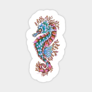 Seahorse Magnet