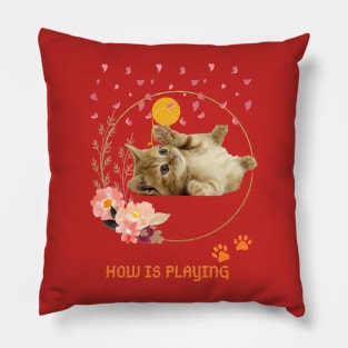 Who is enjoying playtime with my pretty cat? Pillow