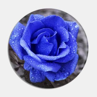 Blue rose Pin