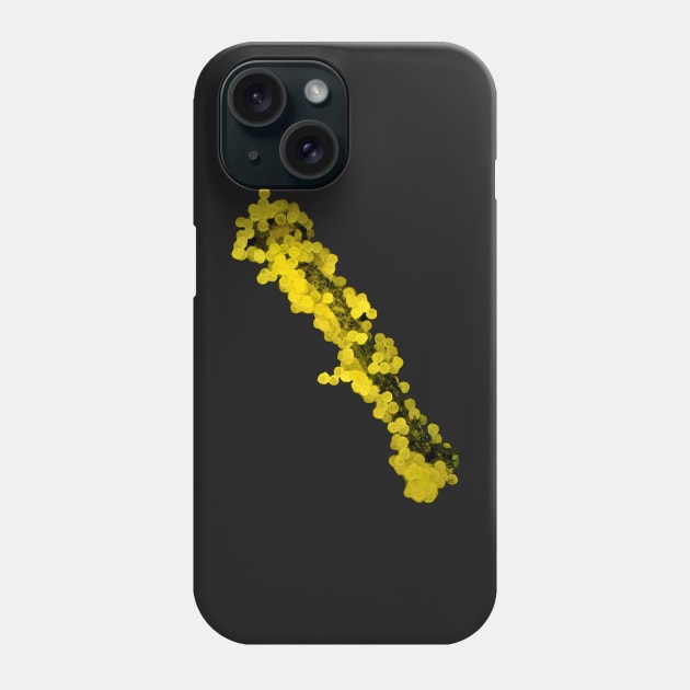 Lapsana communis stamen with pollen under the microscope Phone Case by SDym Photography