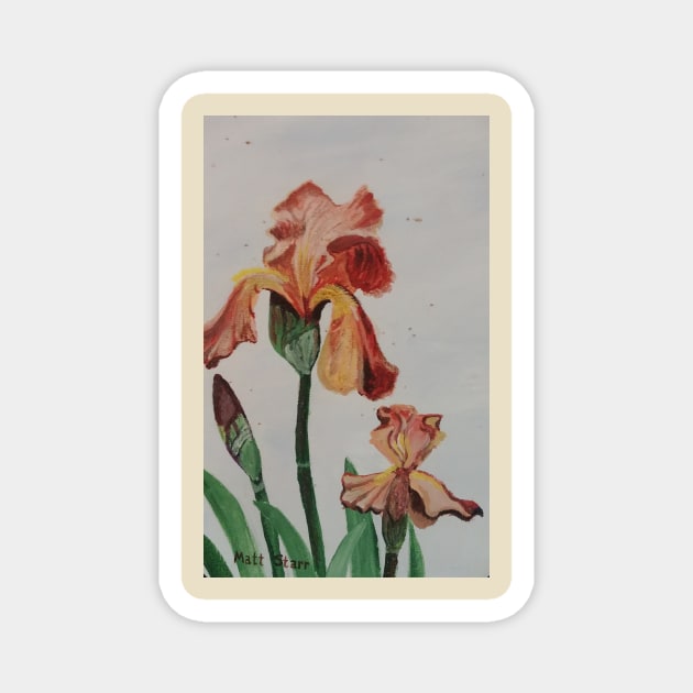 Smoky Bearded Iris Flowers Magnet by Matt Starr Fine Art