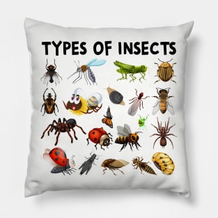 Types Of Insects Bug Identification Science Pillow