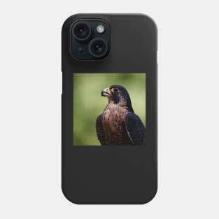 Peregrine Falcon Phone Case