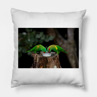 Peaceful Co-Existence Pillow