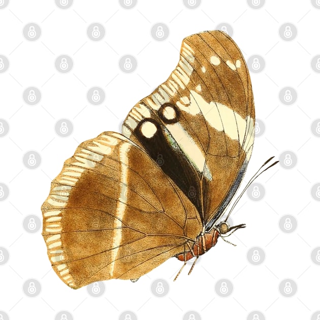 Vintage butterflies Pattern by Yourfavshop600