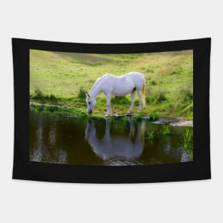 Horse Drinking Water Tapestry