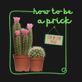 be a prick T-Shirt