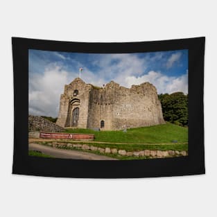 Oystermouth Castle, Mumbles Tapestry