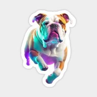 Bulldog Magnet