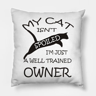 Cat Lovers Funny Spoiled Cat Pillow