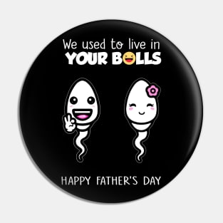 Funny Father's Day We Used To Live In Your Balls Pin