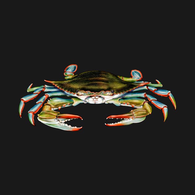 Blue Crab by Tim Jeffs Art