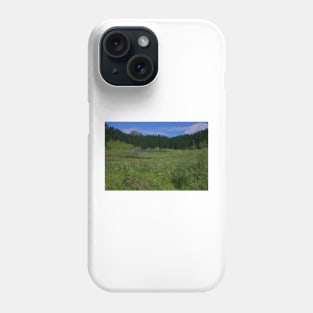 850_4642 Phone Case