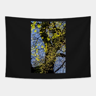 Sunlit Beech Leaves Tapestry