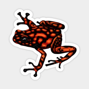 Harlequin poison frog Magnet