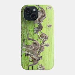 Mob of Eastern Grey Kangaroos, Australia Phone Case