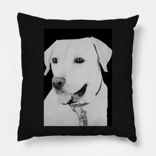 Golden Retriever in Black Pillow