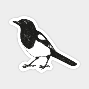 Magpie pen drawing Magnet