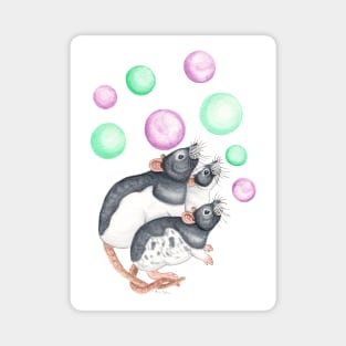 Rats and Bubbles Magnet