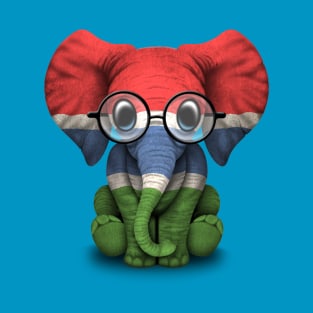 Baby Elephant with Glasses and Gambian Flag T-Shirt