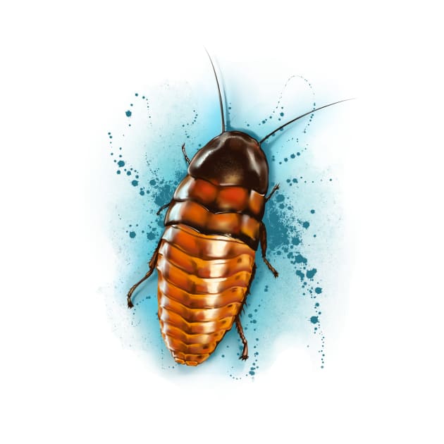 Cockroach by Matross art