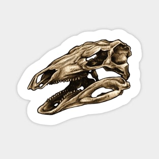 Dinosaur Skull Stegosaurus Magnet