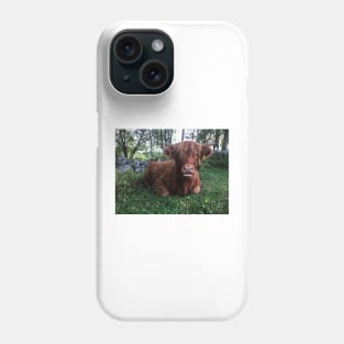 Scottish Highland Cattle Calf 2099 Phone Case