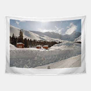 Canadian Rocky Mountains Icefields Parkway Canada Tapestry