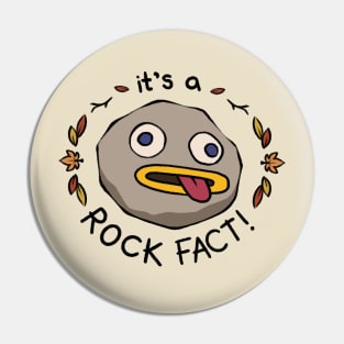 Rock Fact Pin