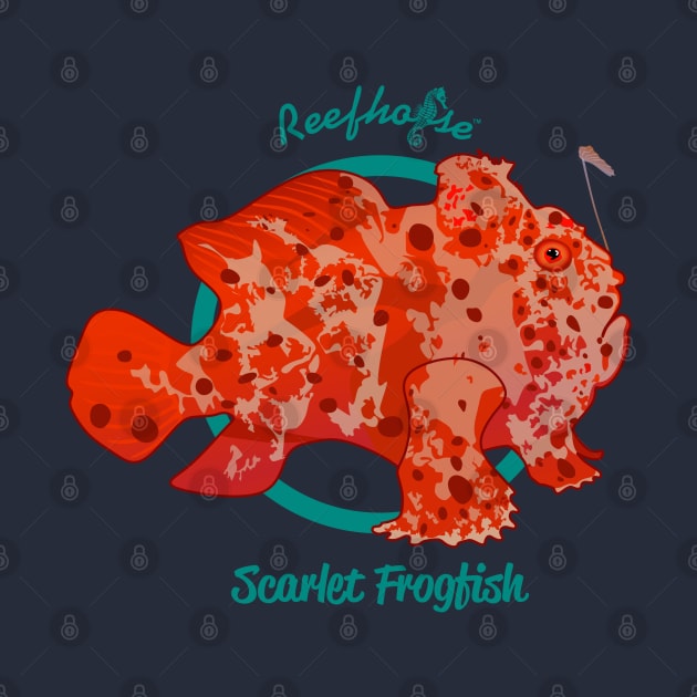 Scarlet Frogfish by Reefhorse