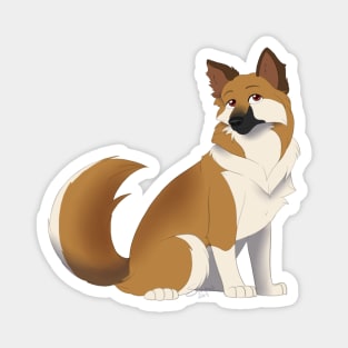 Icelandic Sheepdog Magnet