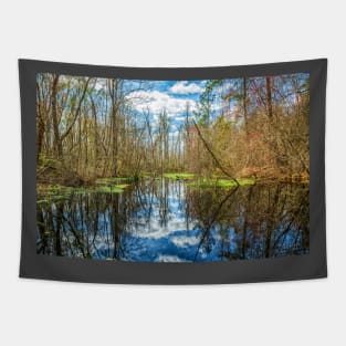 Swamp in Southeastern Georgia Tapestry