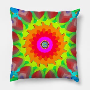 Color Splash Pillow