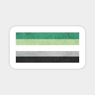 Shimmer Aromantic Pride Flag Magnet