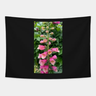 Perennial Pink Foxglove Flower Tapestry