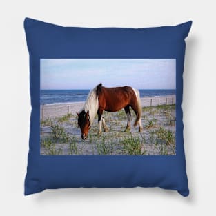 Wild horses, wildlife, gifts, Assateague, Upon the Dunes Pillow