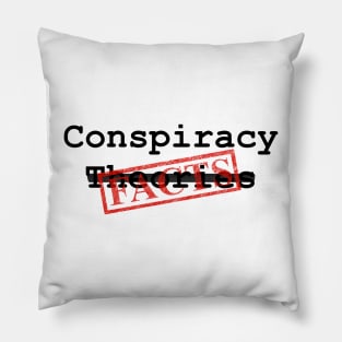 Conspiracy Facts Pillow