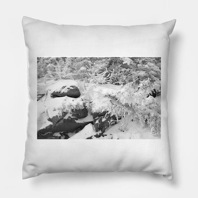 Winter Texture Pillow by srwdesign