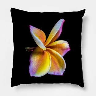 plumeria-flowers-frangipani-floral-awesome-bossom-shirtyshirto-39 Pillow