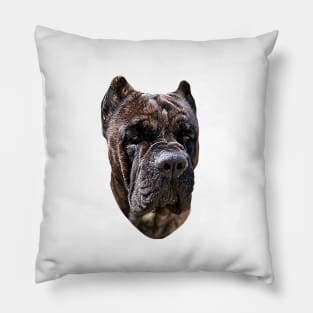 Cane Corso Brindle - Stunning Dog Pillow