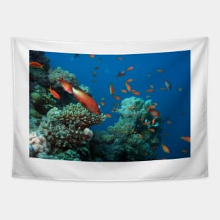 coral reef with fishes Tapestry