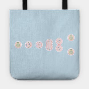 Diagram of Mitosis Tote