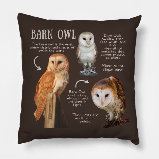 Animal Facts - Barn Owl Pillow by Animal Facts and Trivias