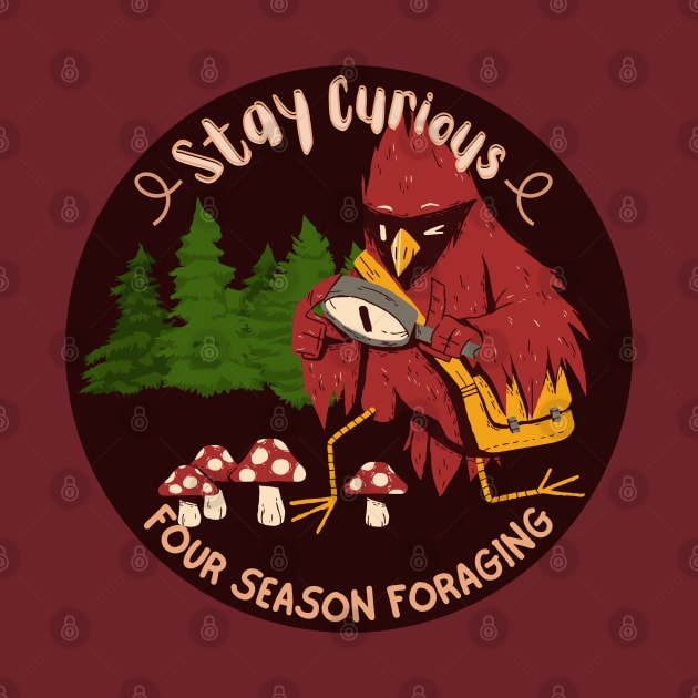 Stay Curious by Four Season Foraging