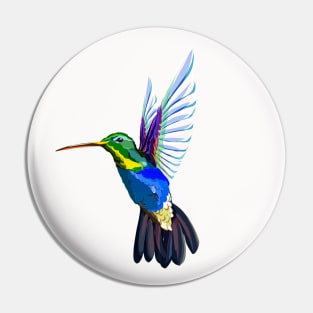 Colorful Colibri Pin